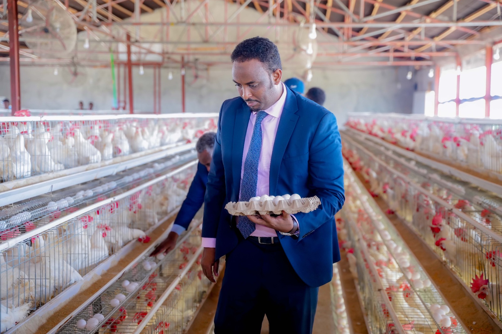 Wasiiru dowlaha wasaaradda Xanaanada Xoolaha, dhirta iyo Daaqa Mudane Dr Suleyban Cali Xuseen oo maanta booqasho iyo kormeer ku tagay xarunta xanaanada digaaga ee hornfesh poultry.